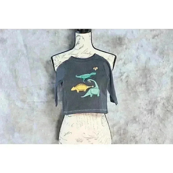 Tommy Bahama size 12m kids long sleeve jersey with peek a boo dinosaurs/lift the - Picture 6 of 13